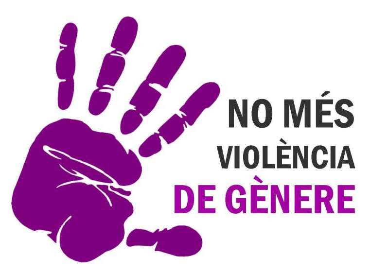 El PSPV-PSOE provincial combatrà els posicionaments polítics que neguen la violència de gènere