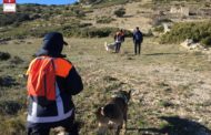 Més de 215 persones treballen en la recerca del caçador de Catí
