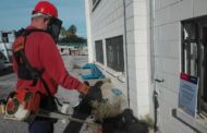 L'Ajuntament de Peníscola, LABORA i la Diputació destinen més de 193.000 euros a programes d'ocupació