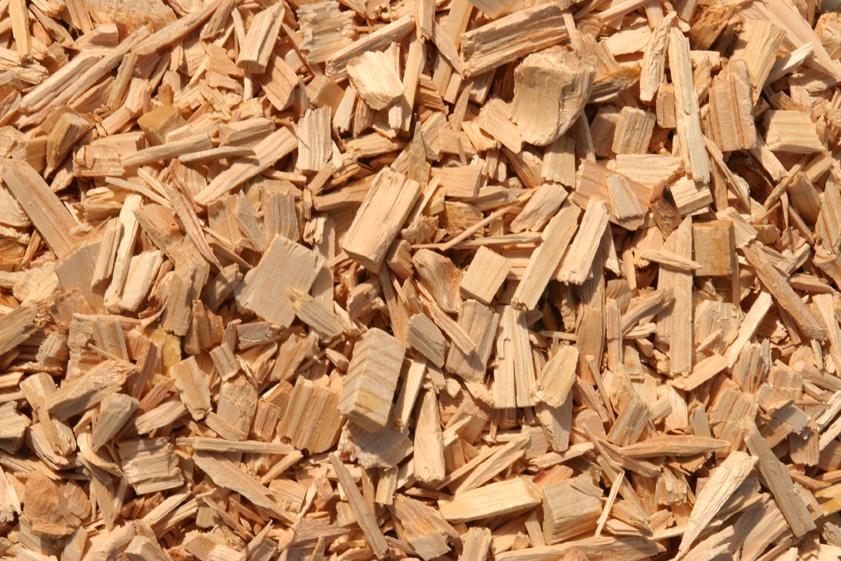L'Ivace destina 750.000 euros per a impulsar la biomassa en empreses i entitats