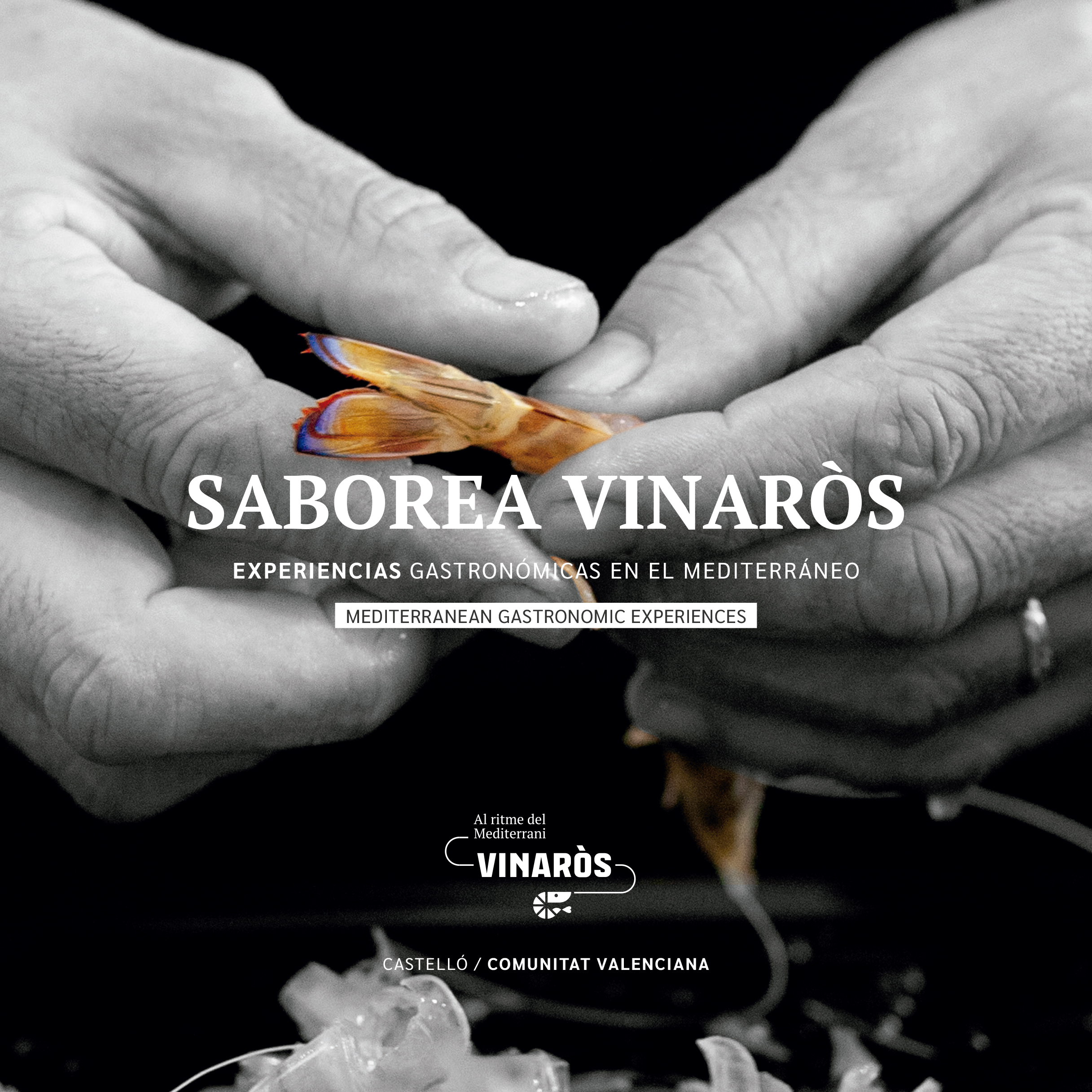 L’Ajuntament actualitza la guia turística i gastronòmica 'Saborea Vinaròs'