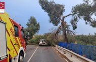 Els Bombers de la Diputació efectuen 33 actuacions al llarg del dia a causa del temporal de vent