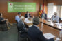 Un total de 31 municipis de la Comunitat podran renovar l'enllumenat públic gràcies a Ivace Energia