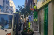 L'Ajuntament de Vinaròs realitza el manteniment de les zones enjardinades