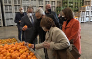 Benicarló; Visita del president de la Diputació de Castelló a les instal·lacions de Benihort de Benicarló 22-01-2021