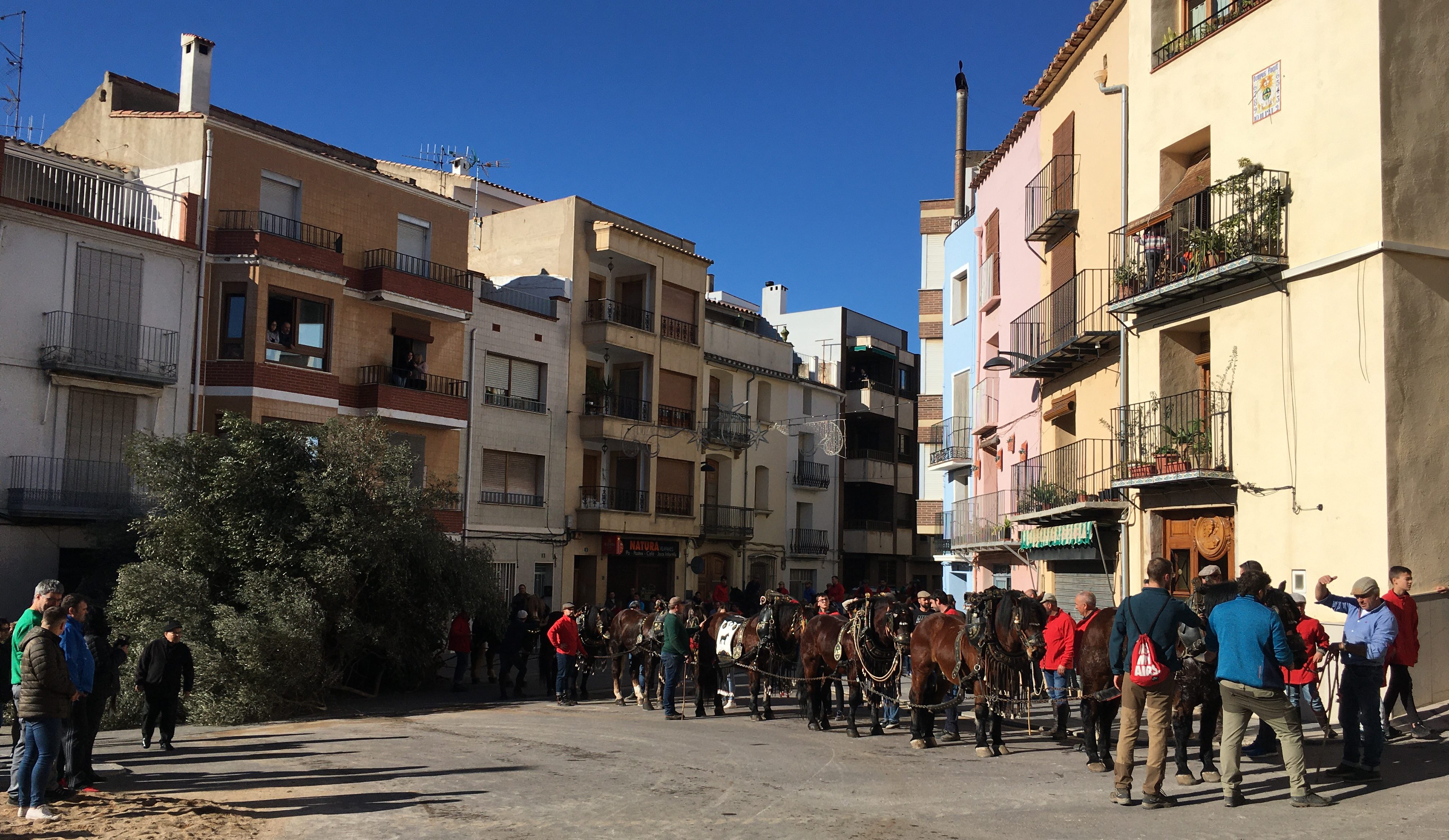 Les Coves de Vinromà suspén Sant Antoni per la situació sanitària