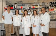 Identifiquen alteracions mitocondrials en sèrum de pacients que avisen del rebuig després d'un trasplantament de cor