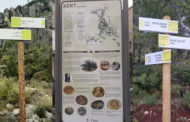 Xert senyalitza el terme municipal per tal de fer-lo molt més atractiu al visitant