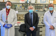 La Fisabio i la UPV desenvolupen un nou test immunològic per a estudiar la seroprevalença enfront del SARS-CoV-2
