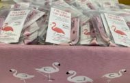 La Diputació adquireix 1.200 polseres solidàries per col·laborar amb el Projecte Emma de recerca contra el càncer de mama