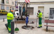 Vinaròs realitza tasques de manteniment de l'arbrat i zones enjardinades