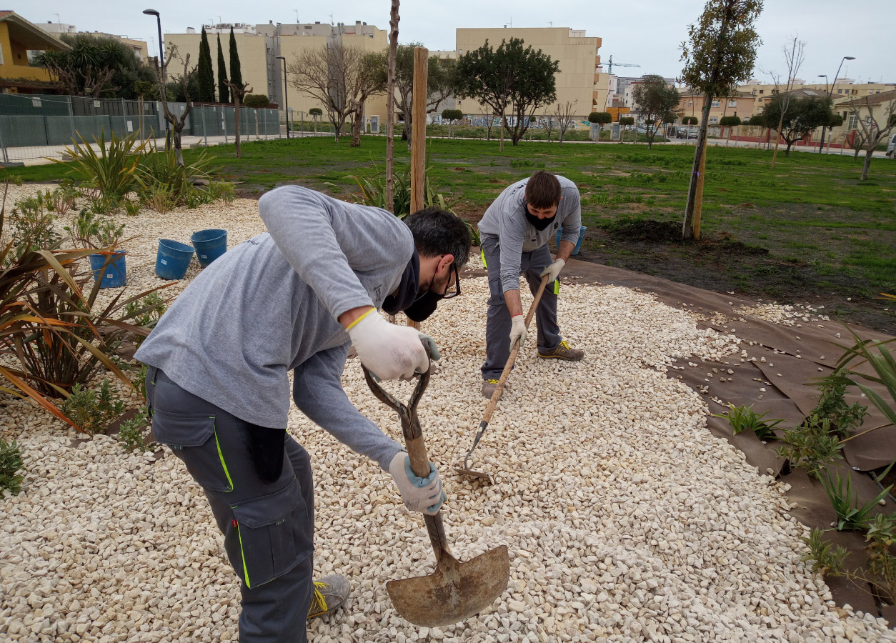 L’alumnat del taller d’ocupació de Benicarló realitza pràctiques al parc verd de l'avinguda Maestrat