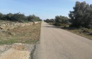 La brigada forestal EMERGE de Rossell continua amb les tasques de desbrossament de camins
