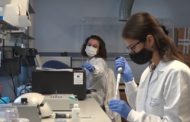 Fisabio i l'IBV-CSIC monitoritzen la transmissió, el moviment i les variants del coronavirus a Espanya