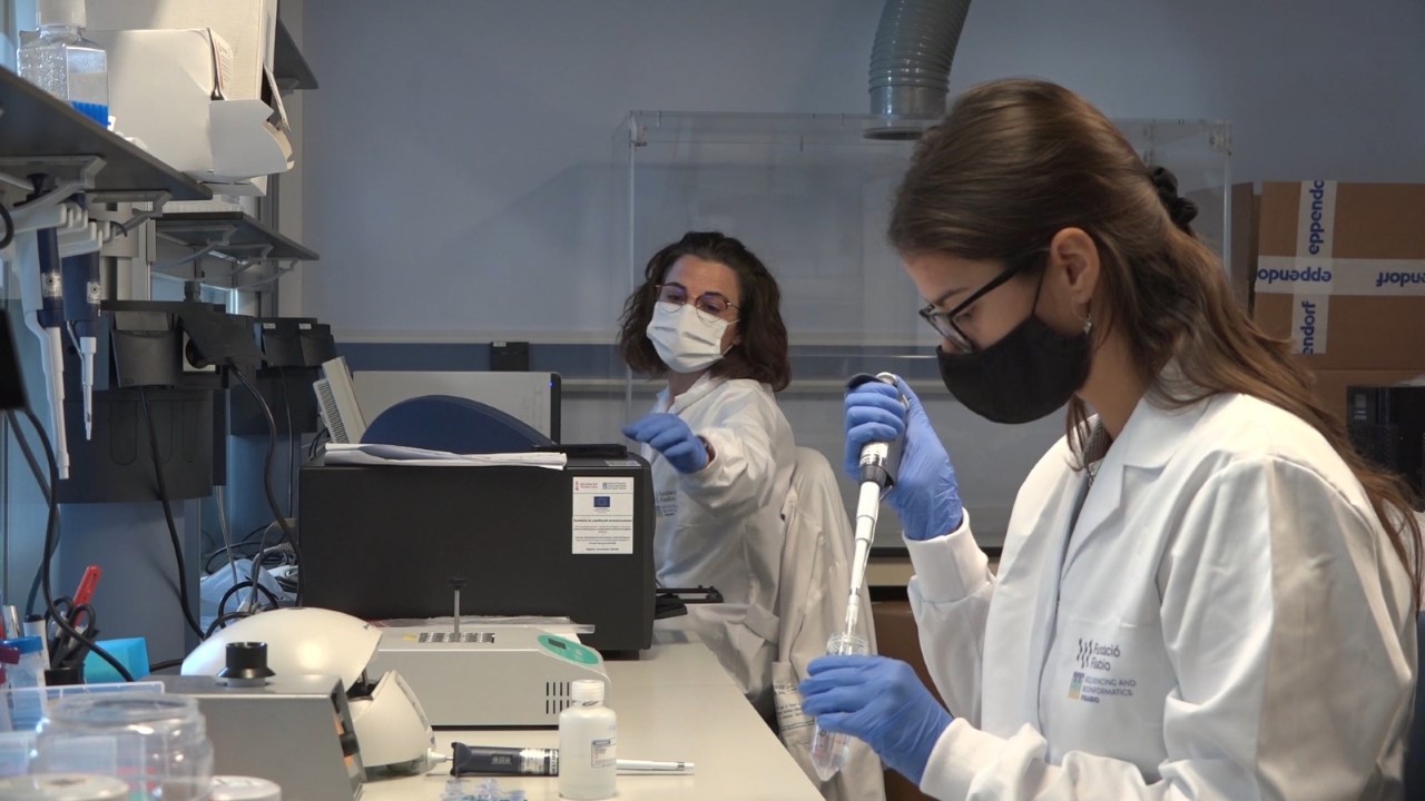 Fisabio i l'IBV-CSIC monitoritzen la transmissió, el moviment i les variants del coronavirus a Espanya
