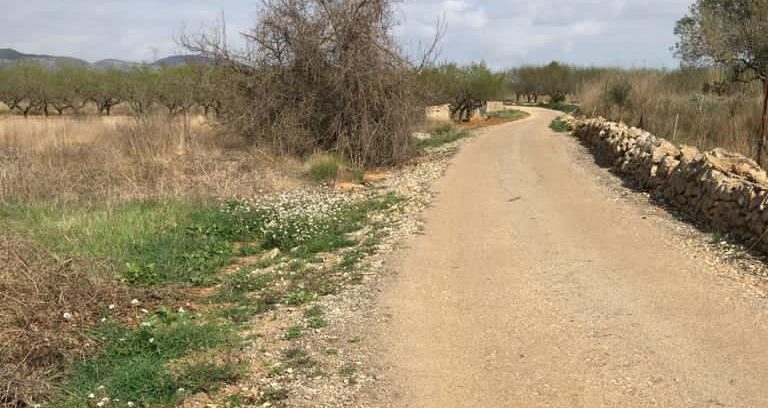 Alcalà-Alcossebre amplia el pressupost per a la millora de camins rurals