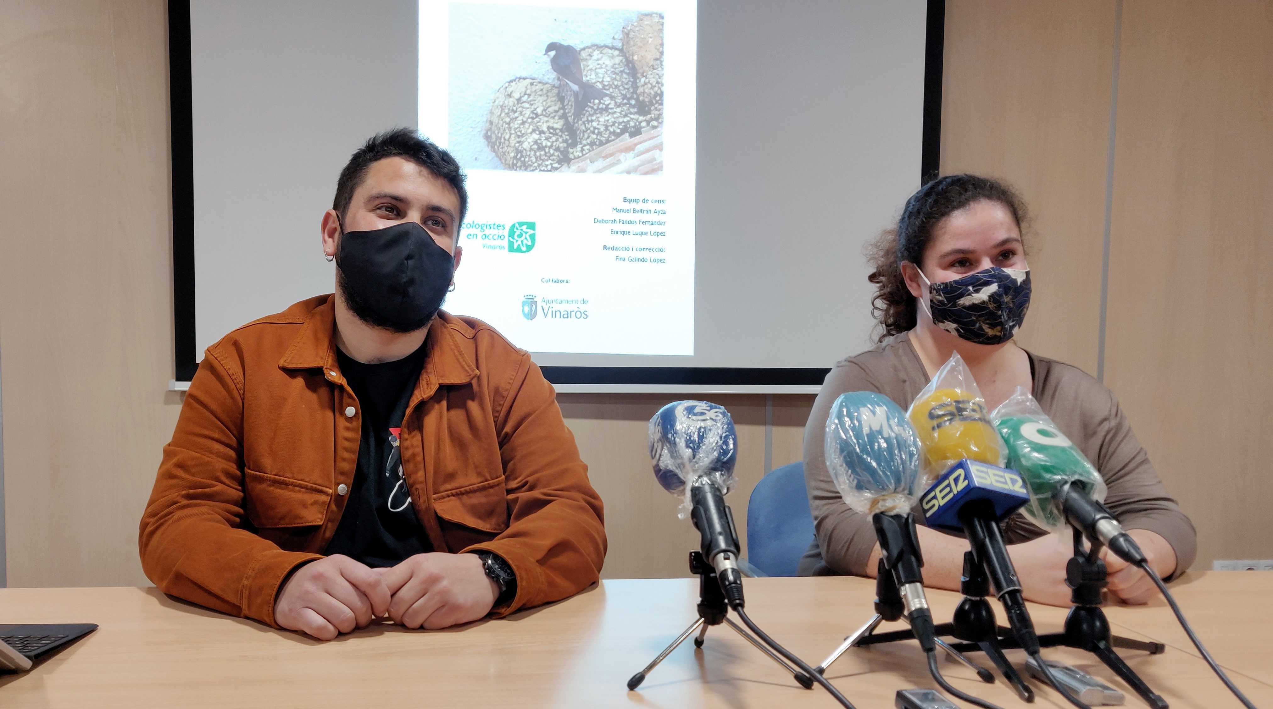 Vinaròs presenta el cens d'espècies d'aus urbanes
