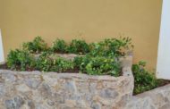 Peníscola millora la jardineria del municipi