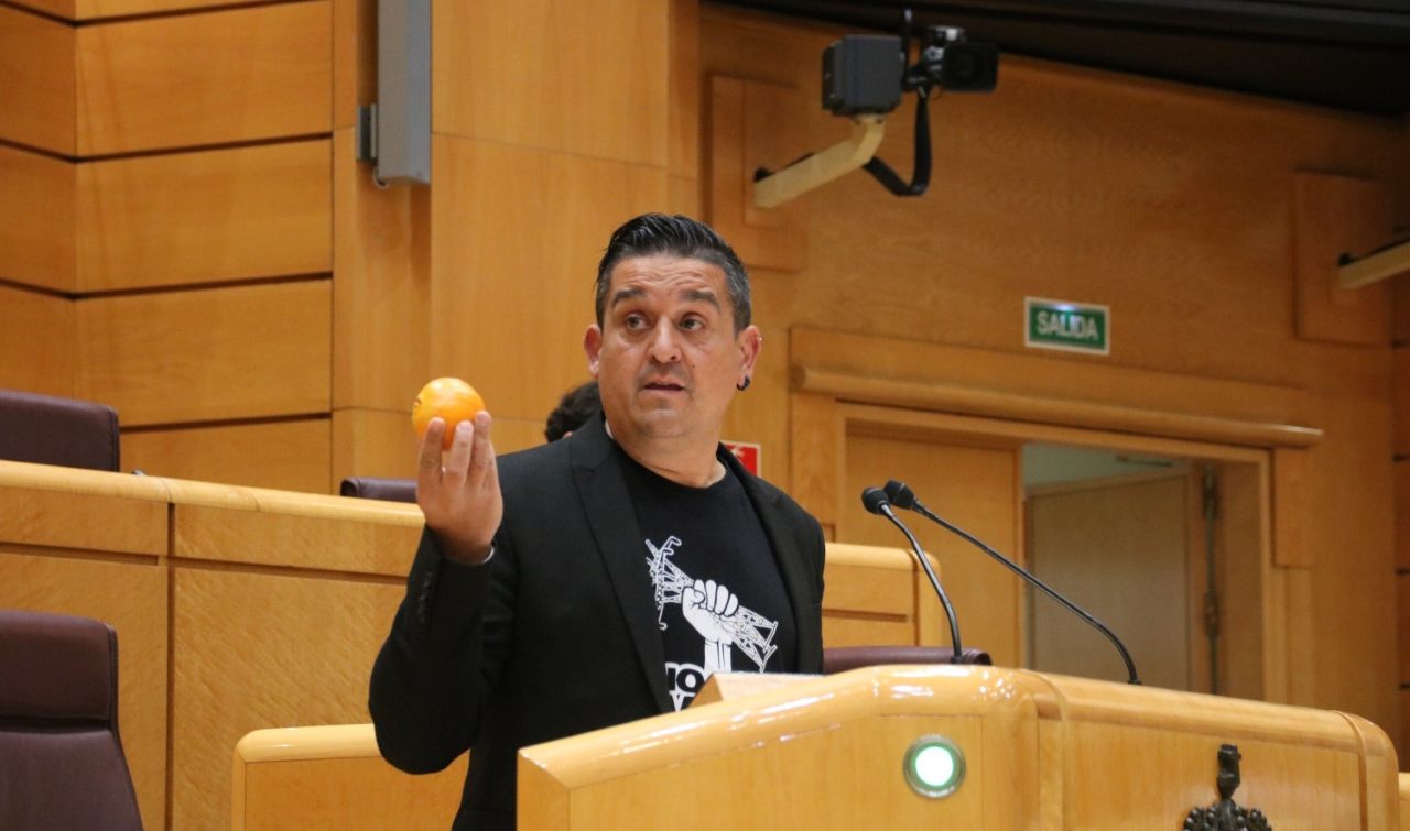 Mulet al PP: “Compte amb els experiments perquè ens podem quedar amb les taronges als arbres”