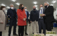 La Carxofa de Benicarló rebrà 57.000 euros de la Diputació per a canviar els plançons afectats pel 'verticillium'