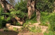 Les Coves de Vinromà sol·licita una subvenció per a la millora de la zona del Molinet