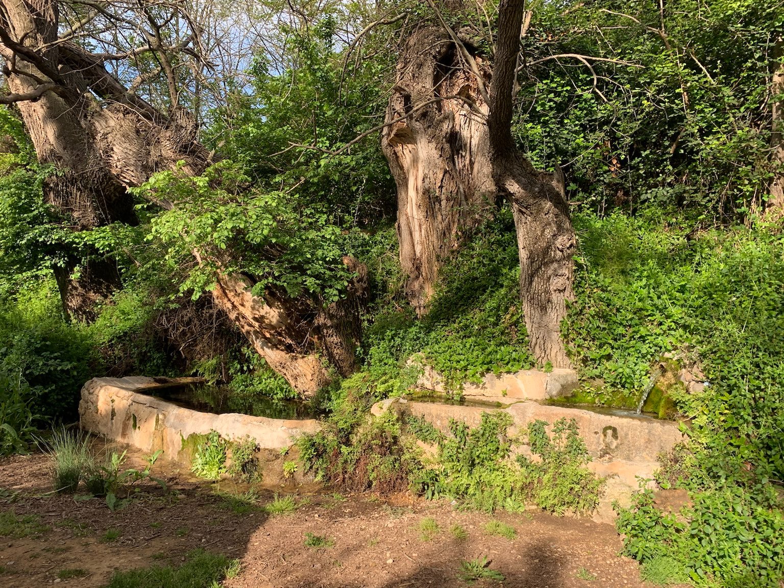 Les Coves de Vinromà sol·licita una subvenció per a la millora de la zona del Molinet
