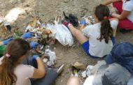 La Diputació de Tarragona se suma a la iniciativa europea 'Let's Clean Up'