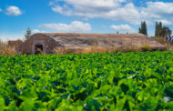 El Ple de Benicarló aprova regular l’ús agrícola de fangs procedents de la depuració d’aigües residuals