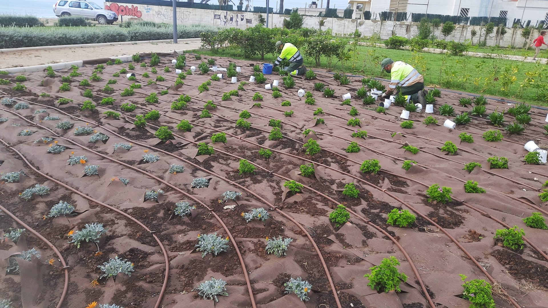 Benicarló posa a punt els parcs, jardins i zones verdes de la ciutat