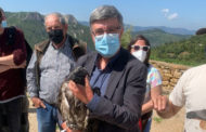Noves cries de crebalòs arriben al Parc Natural de la Tinença de Benifassà