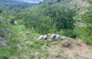 Agricultura aprova el Pla Local de Prevenció d'Incendis Forestals de Castellfort