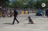 Jornada de Portes Obertes de la Policia Local de Vinaròs 25-06-2021