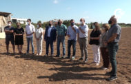 Firma d'un conveni entre la Diputació de Castelló i el CRDO Carxofa de Benicarló 16-07-2021