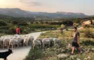 Compromís demana explicacions pel mal servei d'Internet a les comarques d'interior