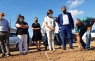 La Carxofa de Benicarló millorarà la seua qualitat vegetal gràcies al suport de la Diputació