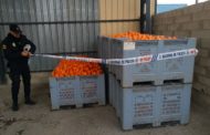 La Policia de la Generalitat deté a 53 persones en la campanya de prevenció de robatoris en el camp