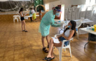 Tírig registra el 100% de negatius en els tests d'antígens practicats als joves