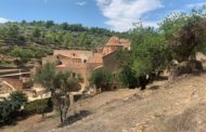 Continuen els treballs de silvicultura preventiva als voltants del Reial Santuari de la Font de la Salut de Traiguera