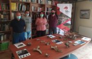 La Diputació col·labora en un espai museístic a Vallibona amb la reproducció dels ossos del dinosaure local