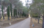 Sant Mateu rep una subvenció de 67.552,02 euros per a contractar a 5 persones desocupades
