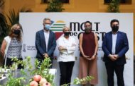 La Carxofa de Benicarló en la nova marca 'Molt de Gust' que promociona productes de qualitat i ecològics