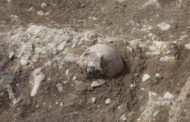 Apareixen restes d’inhumacions en les noves excavacions de Portell