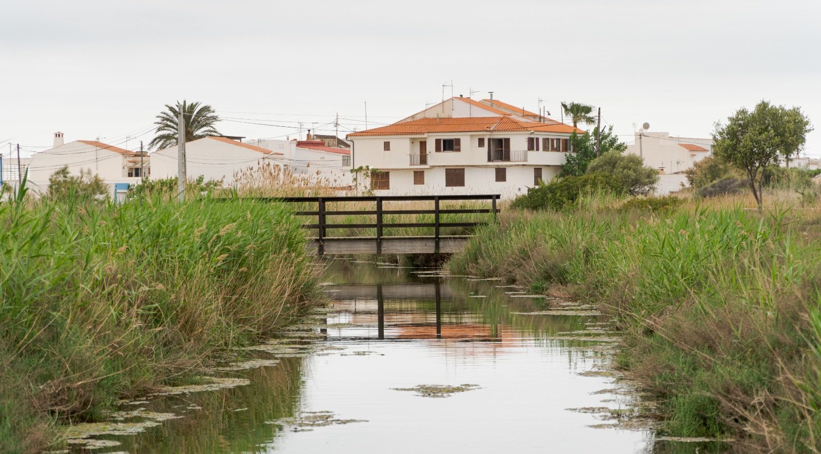 El GAL Maestrat Plana Alta treballa en dos projectes pilot contra la despoblació a Canet lo Roig i Cabanes