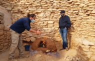 Comencen les obres de rehabilitació de la caseta del poblat iber del Puig de la Nau de Benicarló