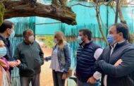 El PP reclama l'autorització de les proves del 'cistell en malla' que 'la Justícia valida i Puig bloqueja'