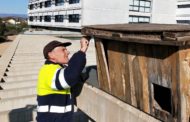 L'Ajuntament de Vinaròs revisa les caixes niu