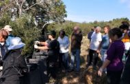 Apnal-Ecologistes en Acció de Vinaròs organitza un curs de formació dedicat a l'elaboració artesanal de compost
