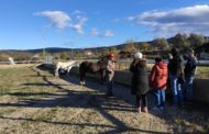 Persones amb malaltia mental crònica del Centre d'Albocàsser participen en una experiència amb cavalls