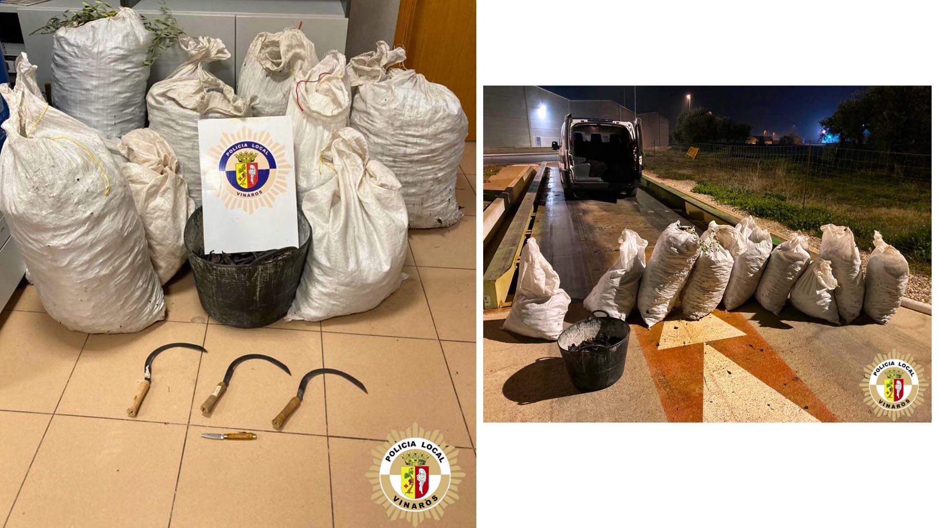 La Policia Local de Vinaròs intercepta 180 quilos de garrofes gràcies a la col·laboració ciutadana