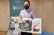 Vinaròs fomenta l'adopció dels animals de companyia